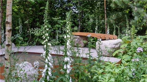 切尔西花展举办,2020年切尔西花展抢先看