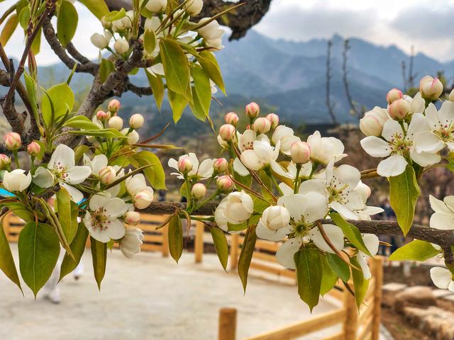 鞍山市旅游温泉哪里好玩,泡温泉鞍山好玩的地方推荐