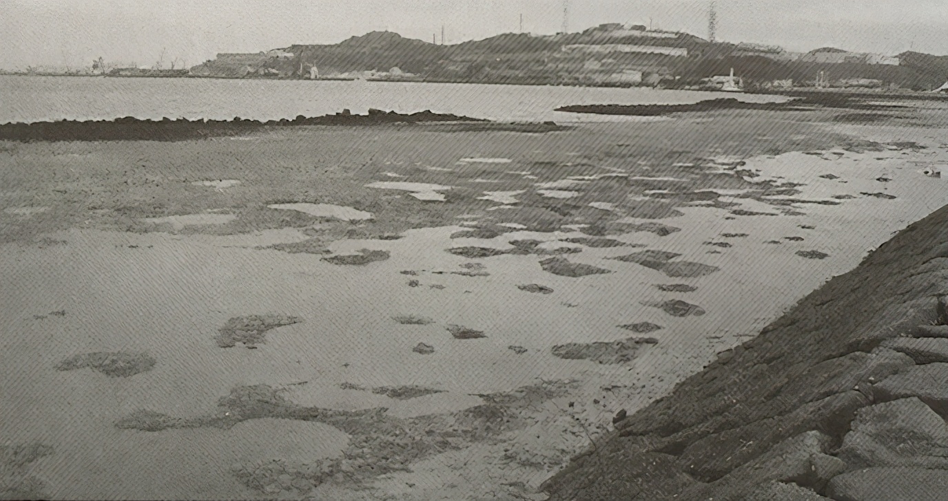 路亚钓黑鲷入门教程,路亚钓黑鲷的方法与技巧