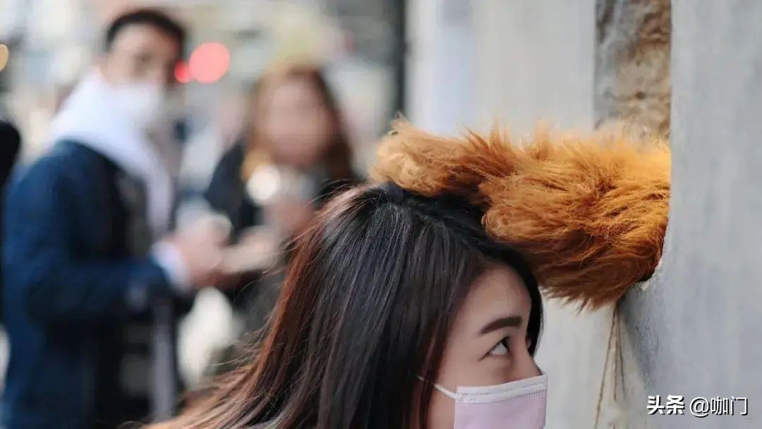 熊掌咖啡爆红,熊掌咖啡怎么样了