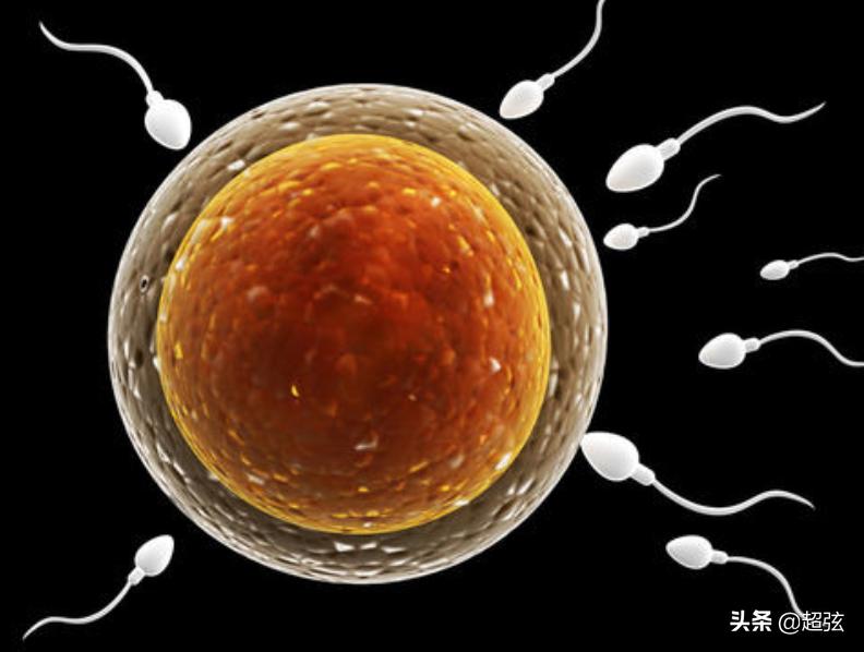 新型冠状病毒损害男性,男性冠状病毒的早期症状