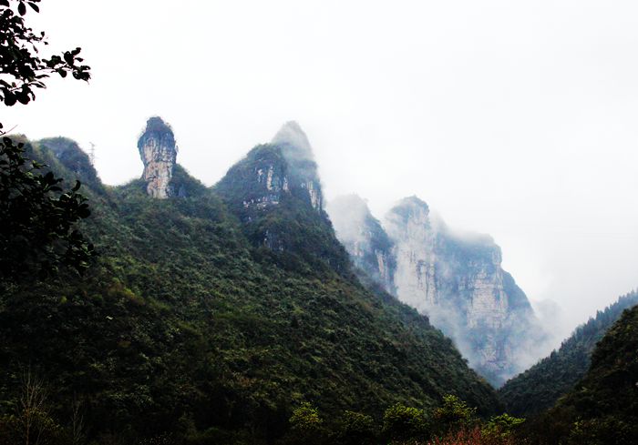 雨中的梵净山景色,烟雨梵净山