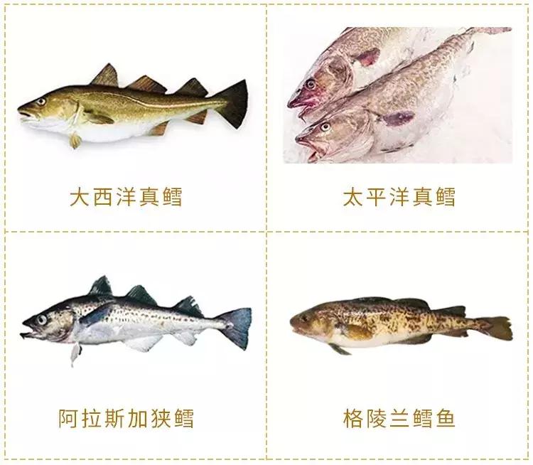 宝宝吃鳕鱼黄油,孩子吃了假鳕鱼拉油怎么办