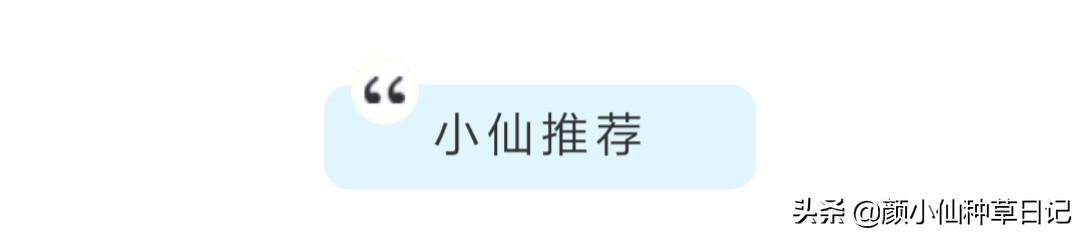 柳岩露出香肩,柳岩露锁骨