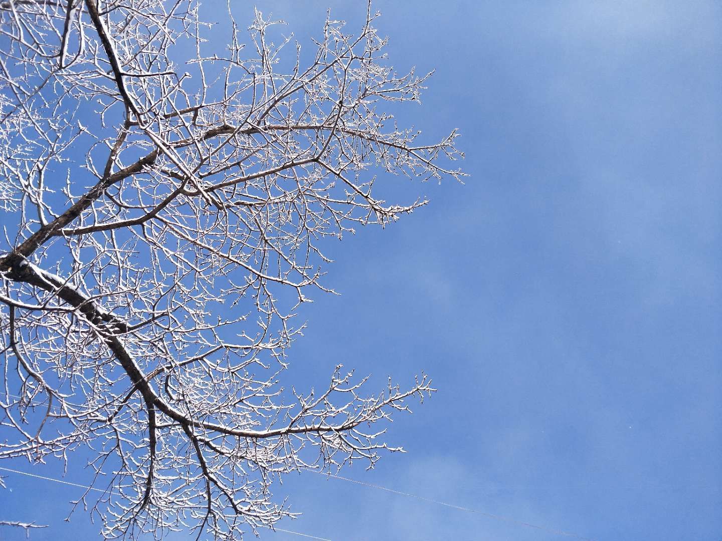 日企工作必备词汇大全!赶紧收藏