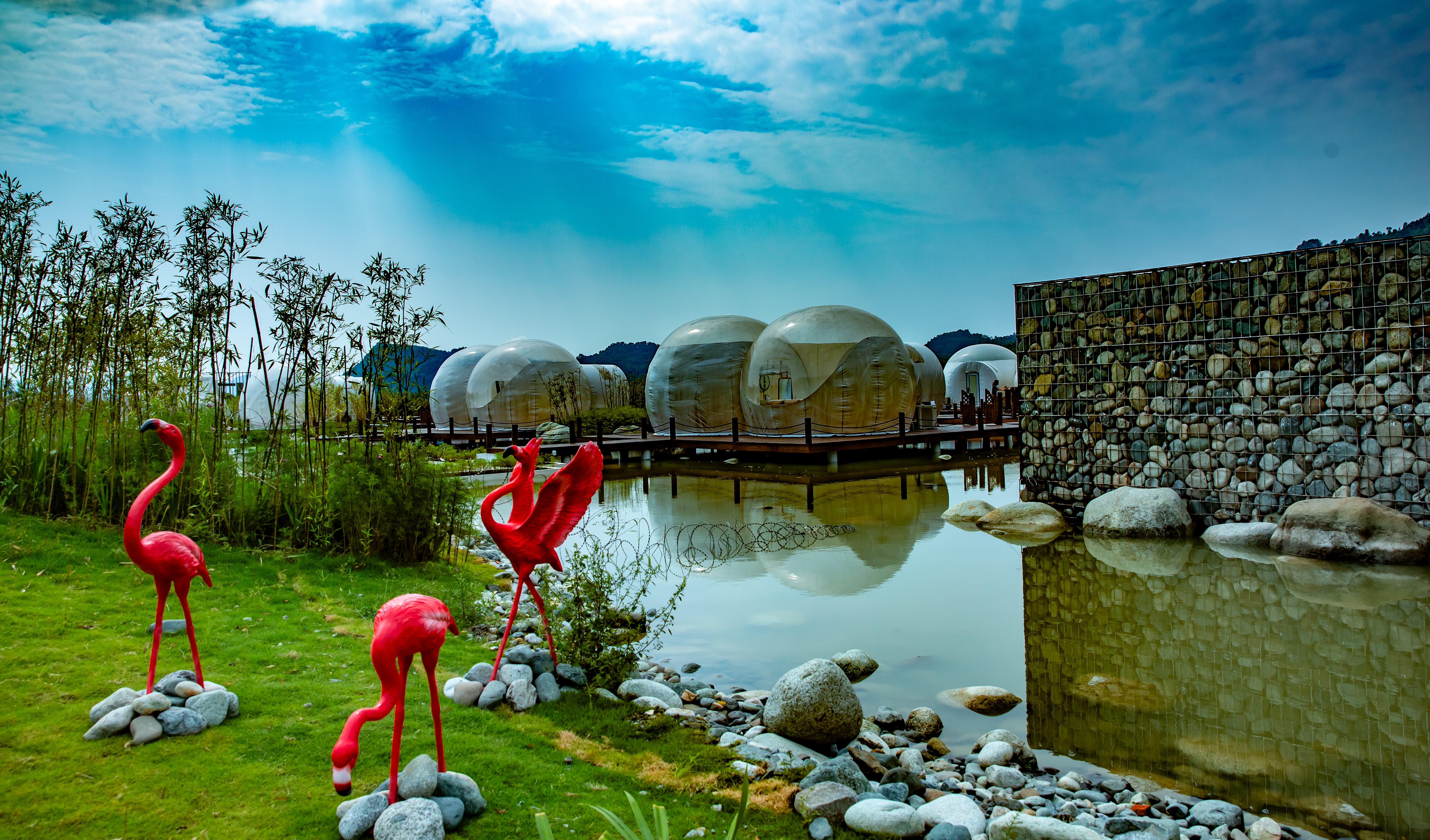 成都周边春季徒步旅游攻略,成都森林徒步旅游攻略