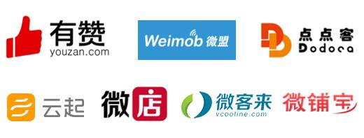 有赞微商城与其他商城对比