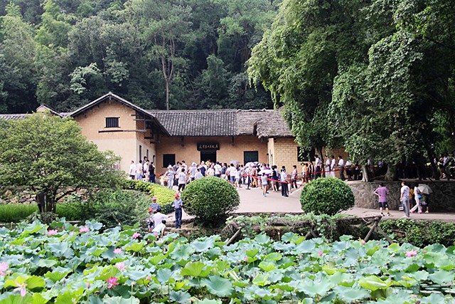 毛主席看到与母亲的合影，激动地用土话问道：咯是从哪里拱出来的