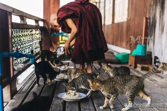 这个藏着绝美海滩和热气球的东南亚小国说走就走！