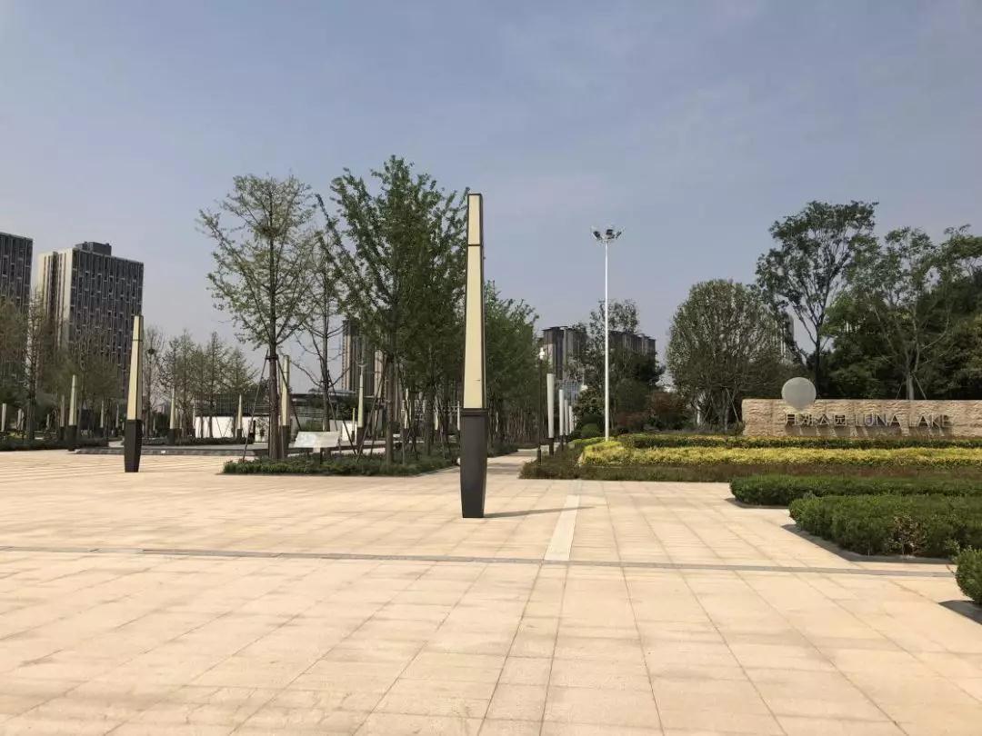 占据郑州北区核心位置，这个滨湖项目为何去化这么好？