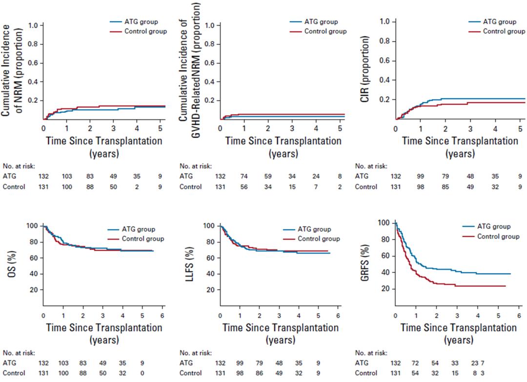 白血病同胞全相合12点移植,血液肿瘤患者与家人