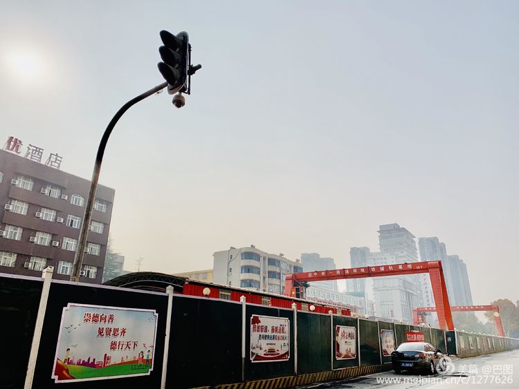 涧西牡丹广场老照片,洛阳牡丹手机拍照