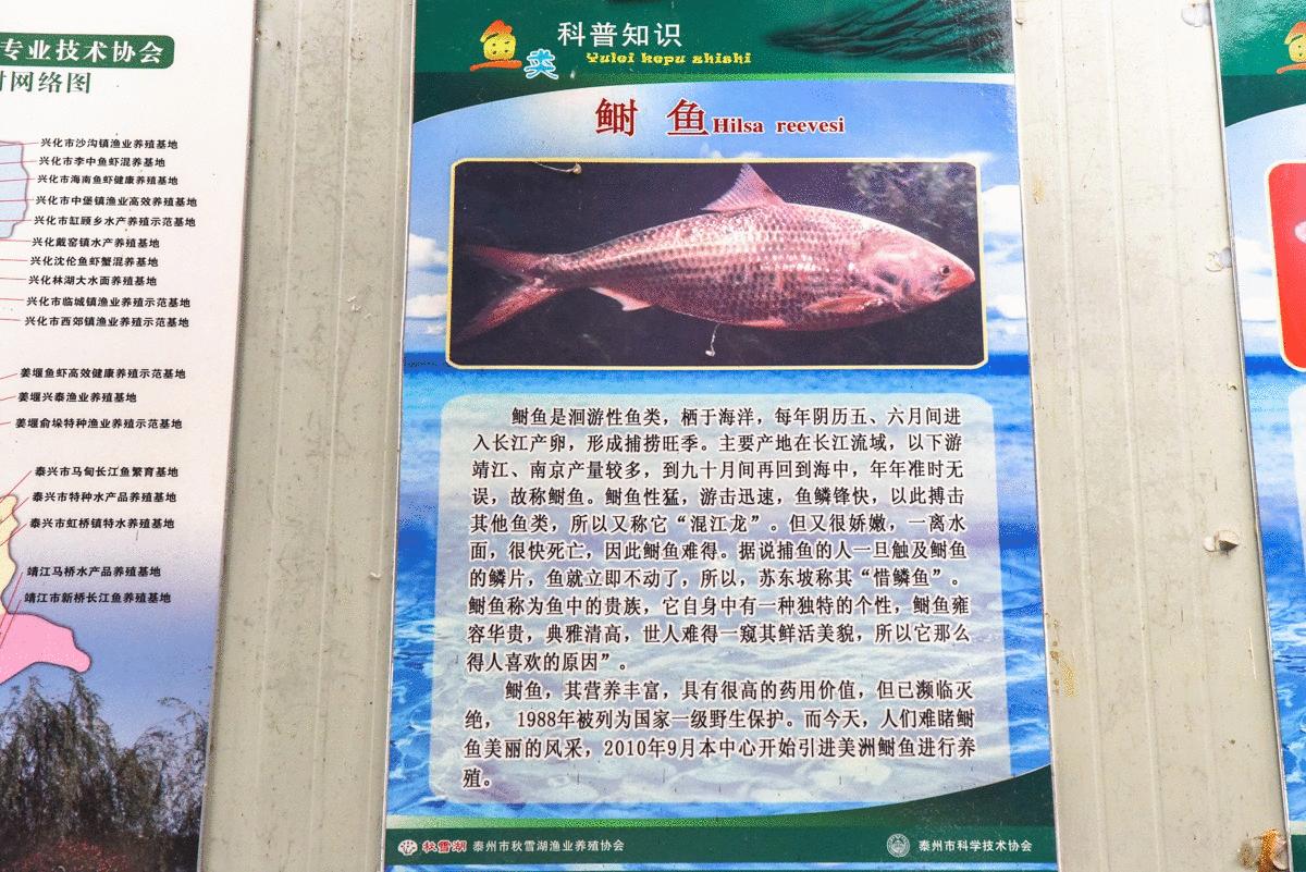 泰州秋雪湖端午节,泰州旅游秋雪湖