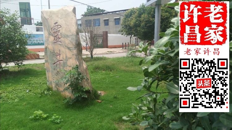 许昌老池的奥妙：井中曾有鱼，土中有龙骨