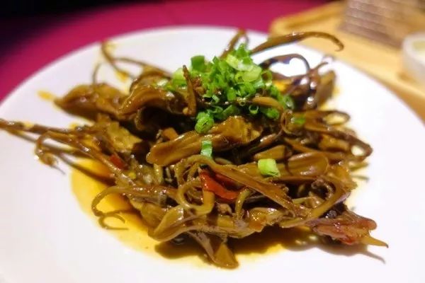 单身狗保护条例,单身狗防伤害地图指南