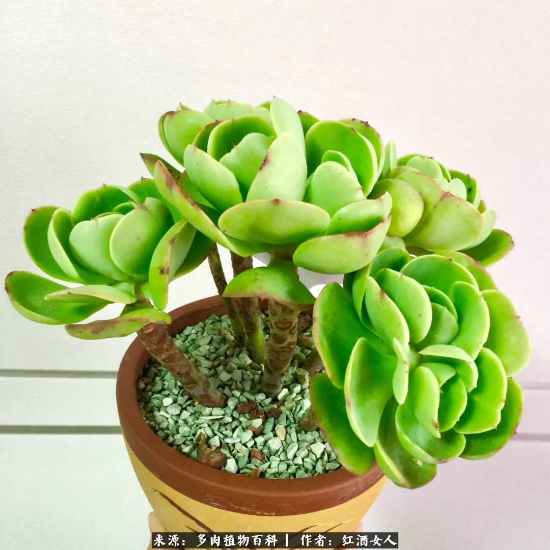 记录走过的美景留下美好的回忆,记录走过的每一段美好时光