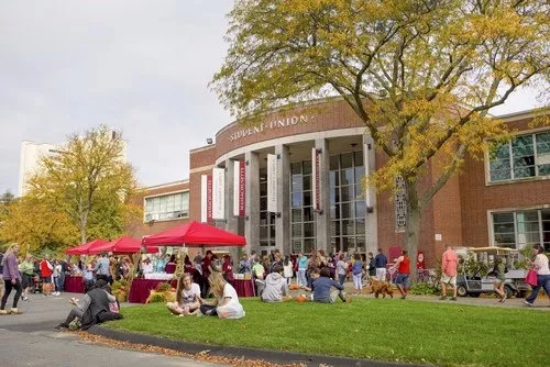 商业分析和金融科技哪个专业好,商业分析与金融就业前景