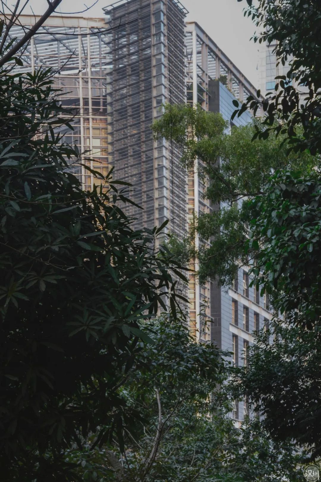 景甜有多大,景田是什么档次