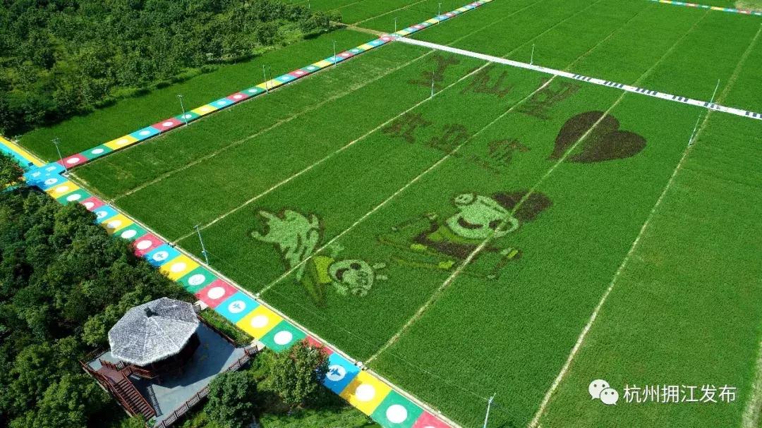 钱塘江画卷,钱塘江画作