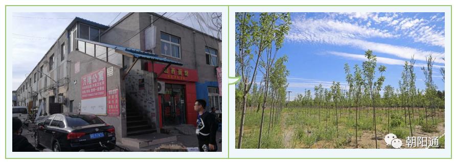 朝阳腾退最新消息,朝阳区芳草地腾退规划