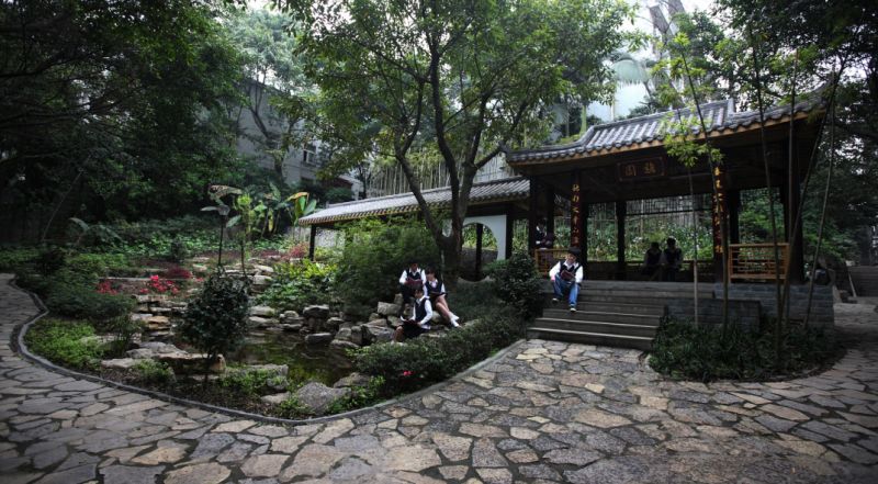 初中报考铁路学校和高中有啥区别,选择铁道学校有什么好处