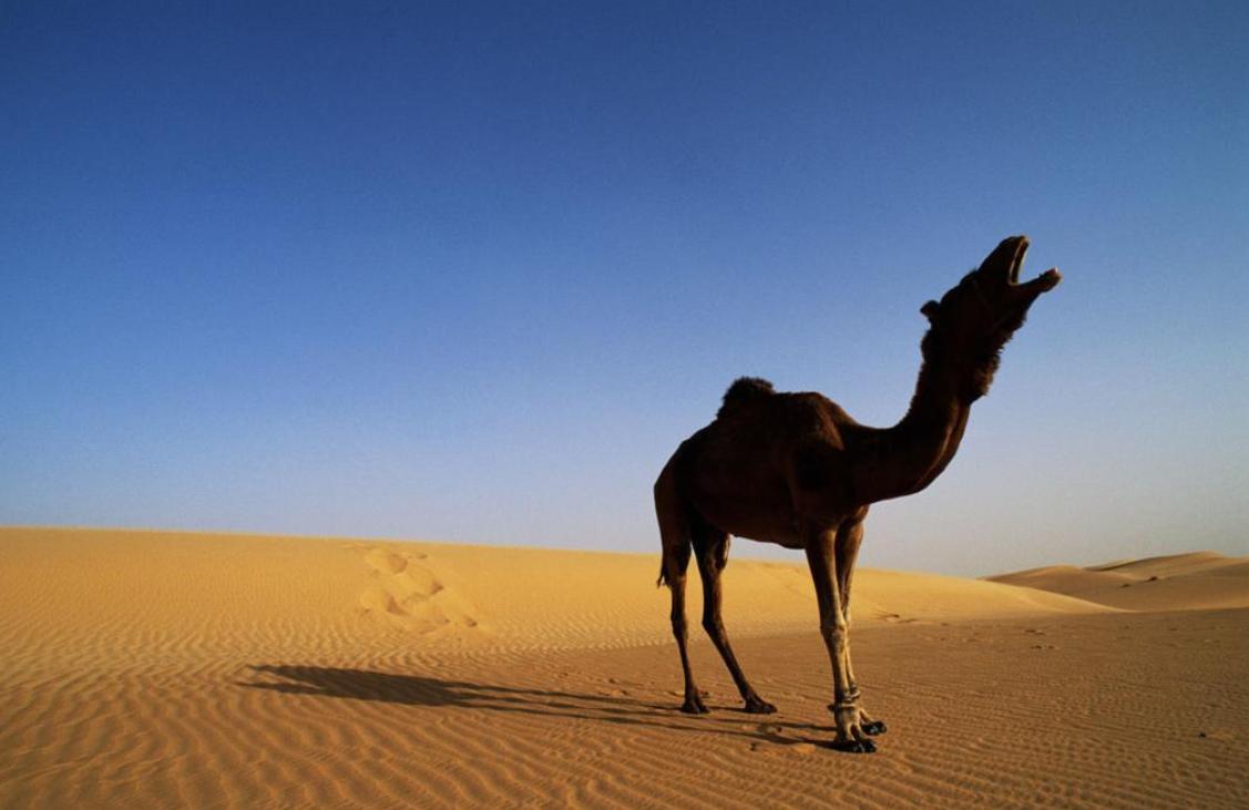 贝加尔湖淡水可供多少人饮用,贝加尔湖淡水含量