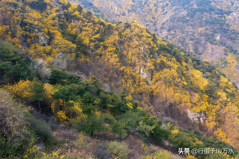 济南徒步爬山推荐免费,济南龙洞徒步登山带你看风景