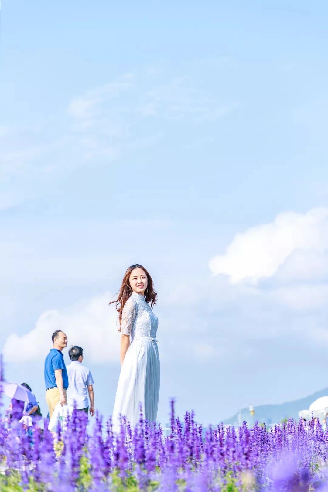 深圳二号线沿线有哪些景点游玩,深圳9号线沿途好玩的地方推荐