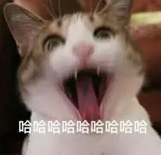 zara口红19块什么时候购买,99的爆款口红