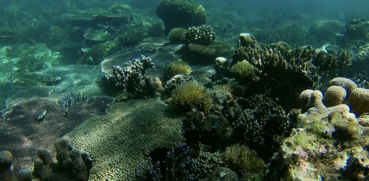 出发!风下之乡-马来西亚的蓝色天堂沙巴