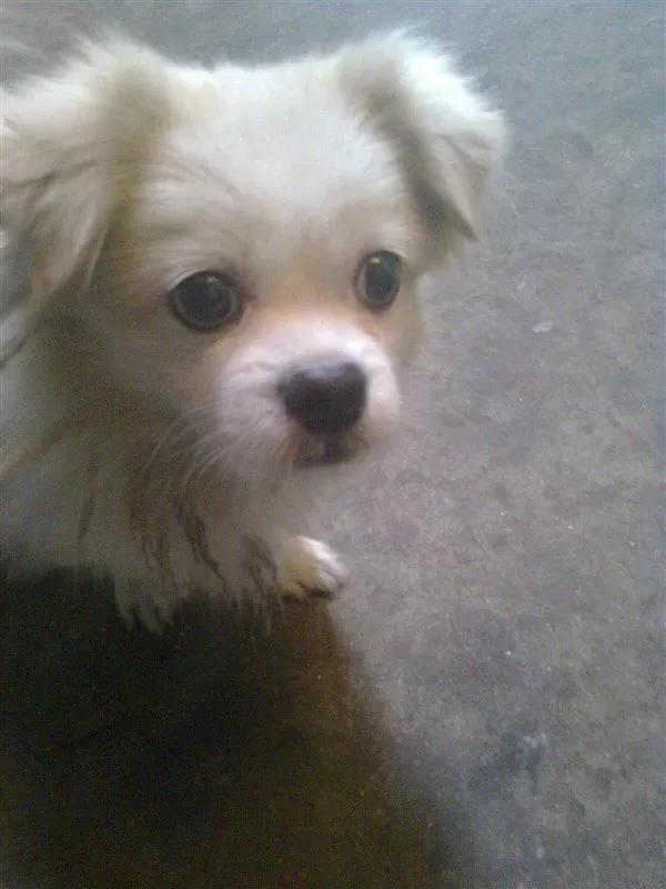 穿越十大必备技巧,穿越有什么技巧吗