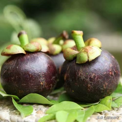 山竹的正确吃法怎么挑选山竹,怎么挑选到不会玻璃心的山竹