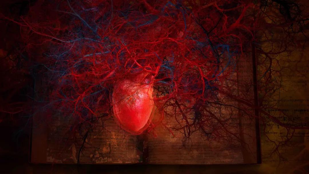 见地｜张小涛：数字艺术的裂变——从媒体实验室到公共场域