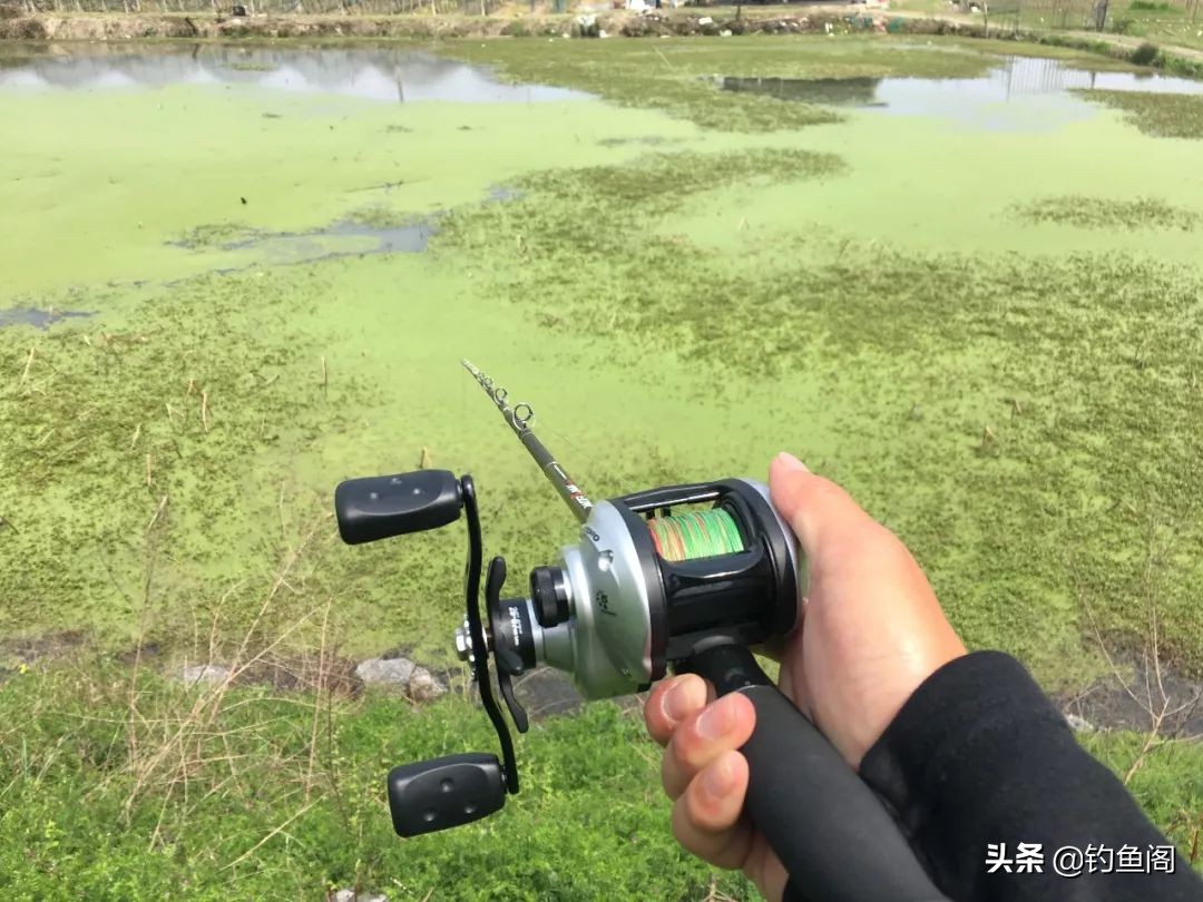 路亚钓黑鱼的技巧手法,路亚钓黑鱼手法操作和技巧视频