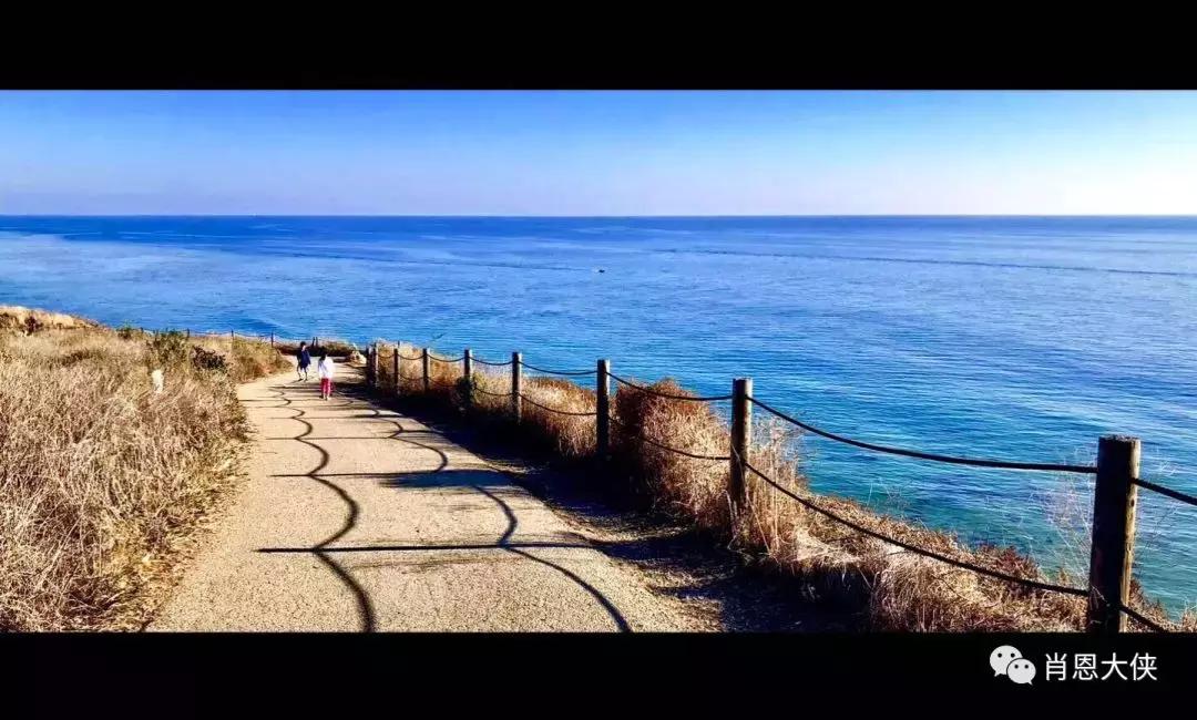 一个非典型的投资人的崛起,非典型投资者的感受