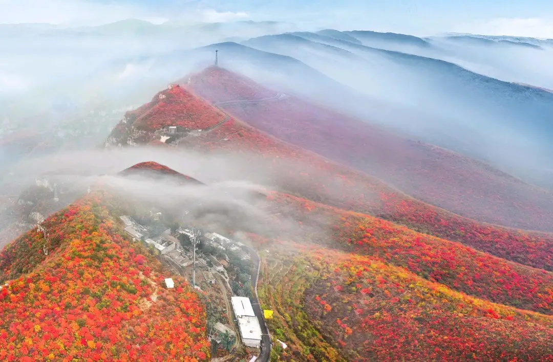 颜值惊艳神仙颜值,颜值爆表长相逆天