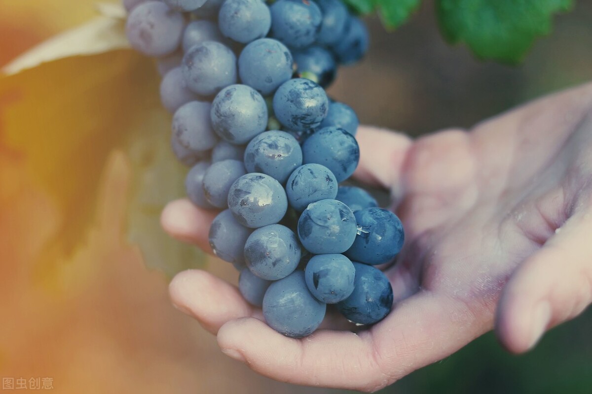 水果店赚钱不,水果店怎么赚差价