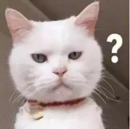 原来,此“duǐ”非彼“怼”