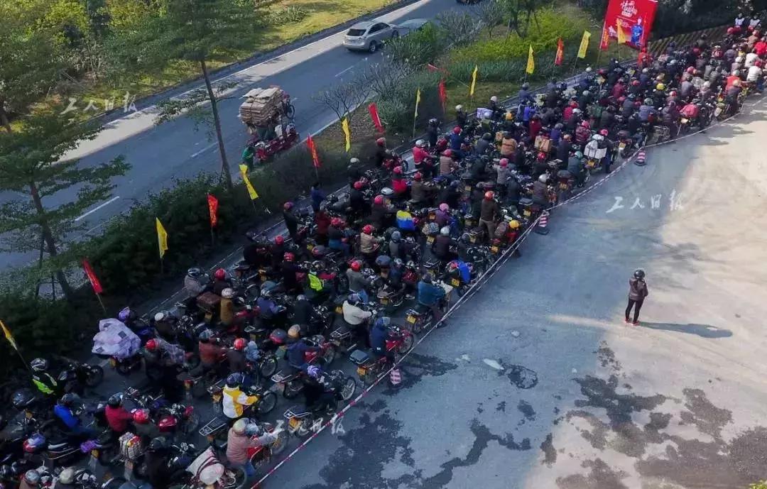 回家过年通告,过年回家的最新通告