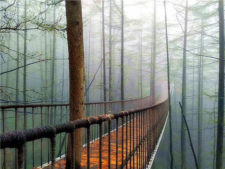 找个keyi治愈心情不好的地方.......