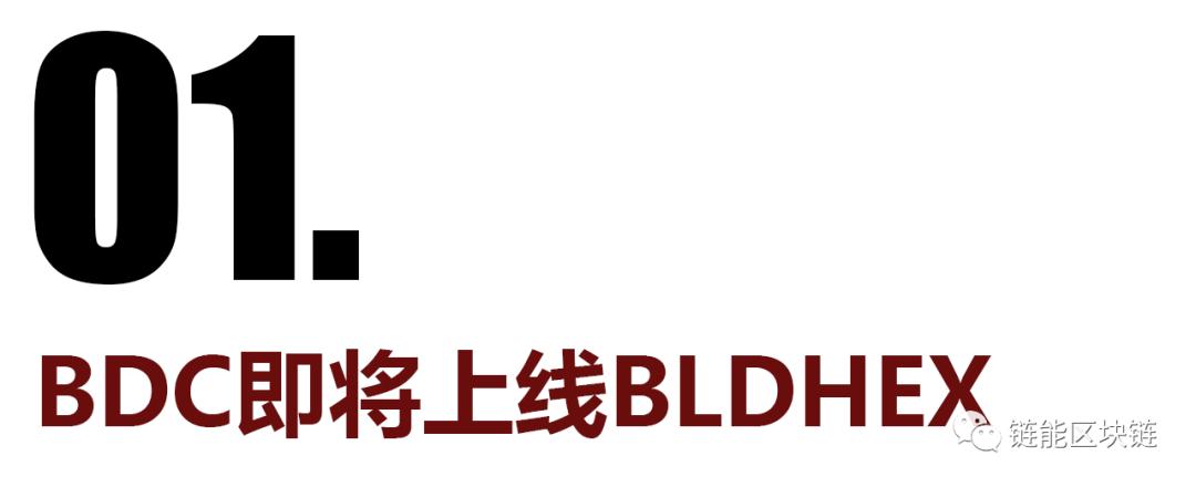 BDC领衔飞龙资本战略投资1000万美金，3月23号上线BLDHEX