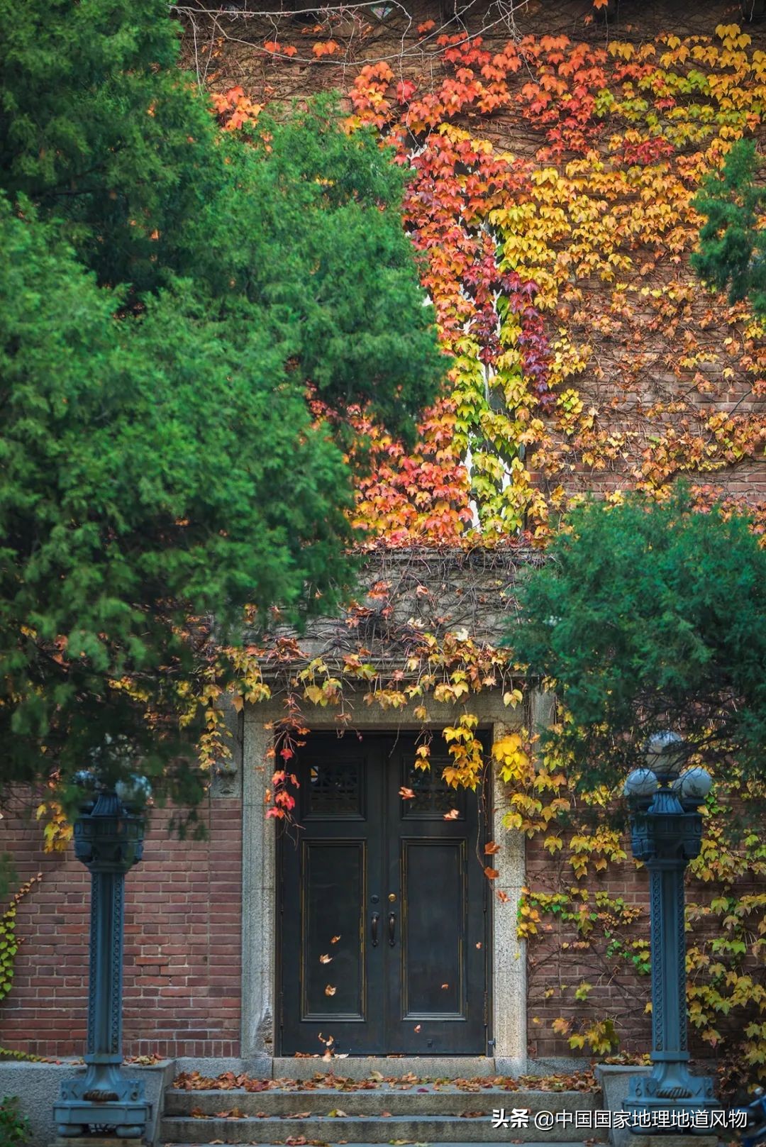 中国夏天地图全图,中国秋色地图
