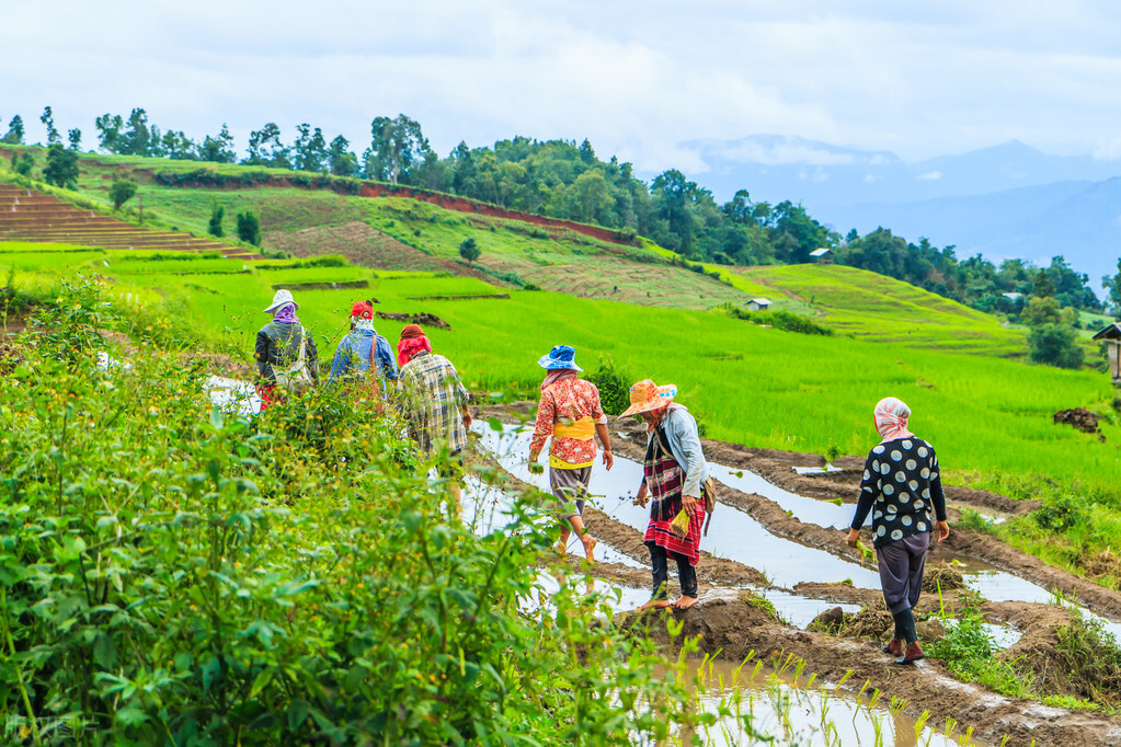 <html>
<head><title>502BadGateway</title></head>
<body>
<center><h1>502BadGateway</h1></center>
<hr><center>nginx</center>
</body>
</html>
<!--apaddingtodisableMSIEandChromefriendlyerrorpage-->
<!--apaddingtodisableMSIEandChromefriendlyerrorpage-->
<!--apaddingtodisableMSIEandChromefriendlyerrorpage-->
<!--apaddingtodisableMSIEandChromefriendlyerrorpage-->
<!--apaddingtodisableMSIEandChromefriendlyerrorpage-->
<!--apaddingtodisableMSIEandChromefriendlyerrorpage-->
