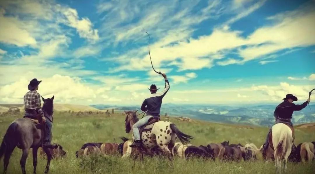 各人种之间为何不存在生殖隔离？黑种人、白种人、黄种人发展史