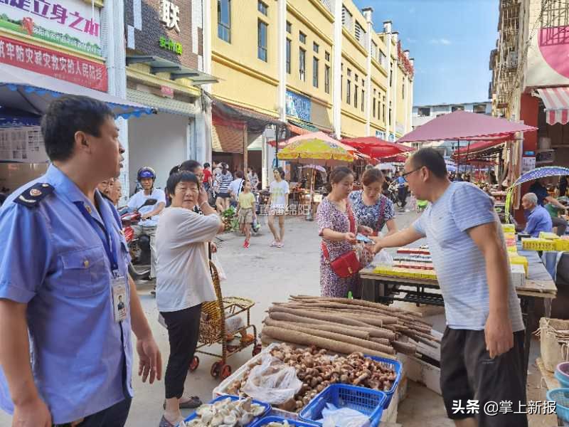 野生毒蘑菇销毁,野生蘑菇当地市场监管部门销毁