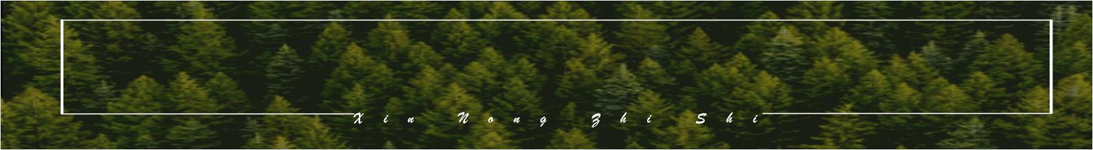 玉米新技术大全,现代玉米育种选择