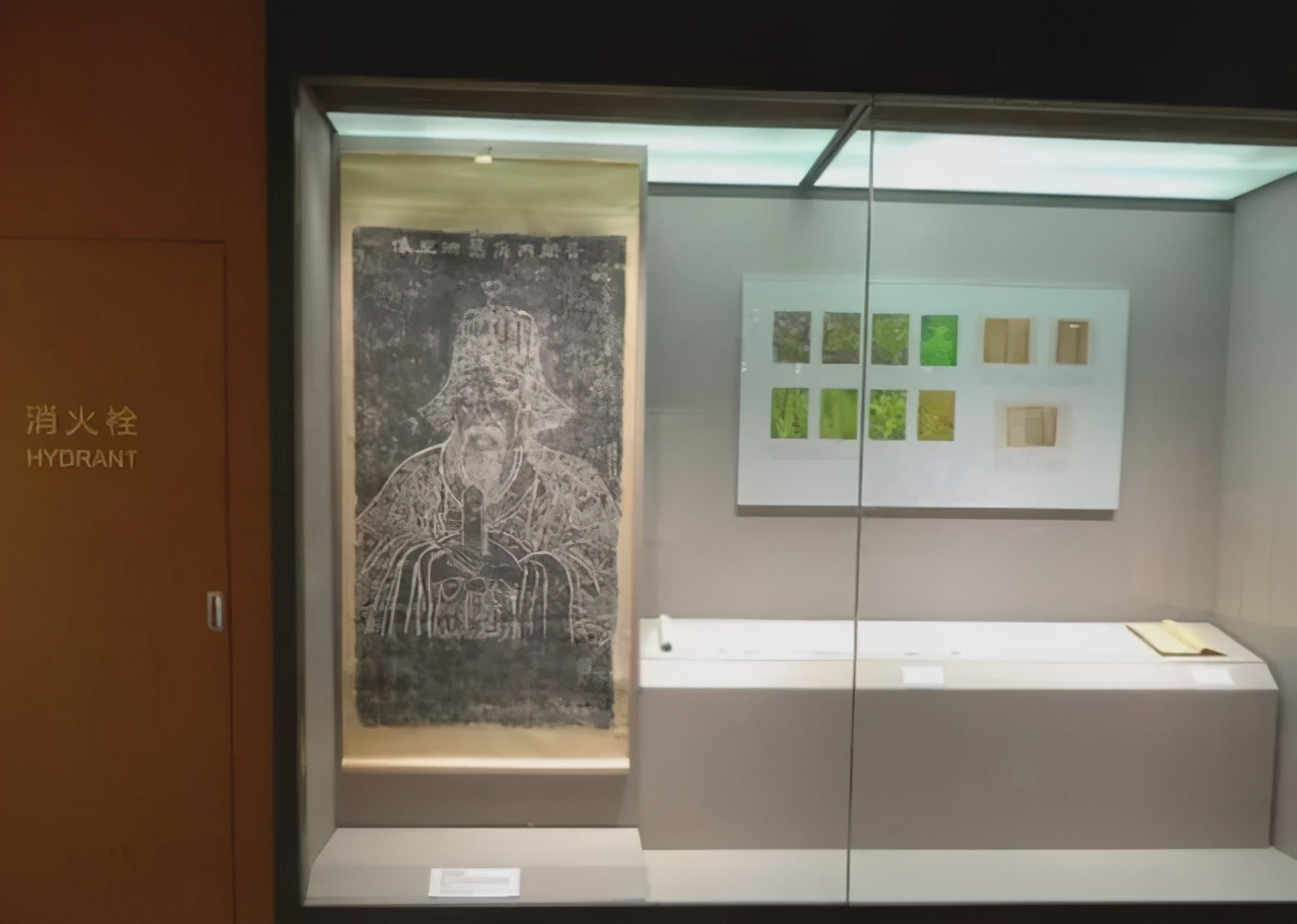 上海近现代中医药博物馆,上海中医药博物馆历史