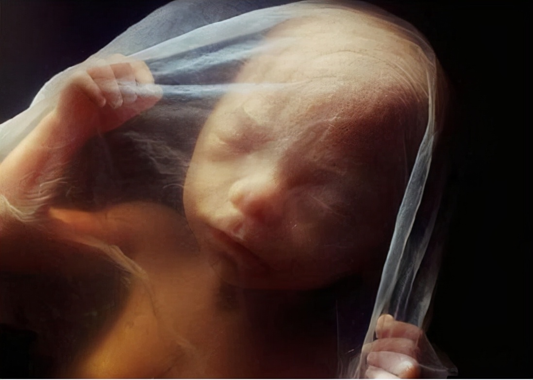 鑻卞浗濂冲瓙缃戜笂璐拱閽堢瓛,閽堢瓛浜哄伐鎺堢簿