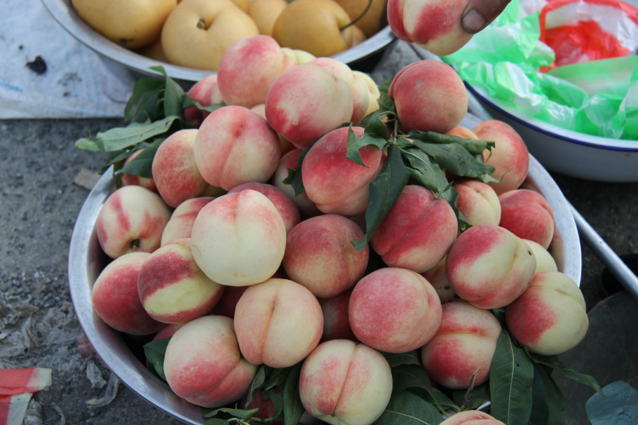 桃子放冰箱更容易坏吗,桃子放冷藏里为什么很快就坏了