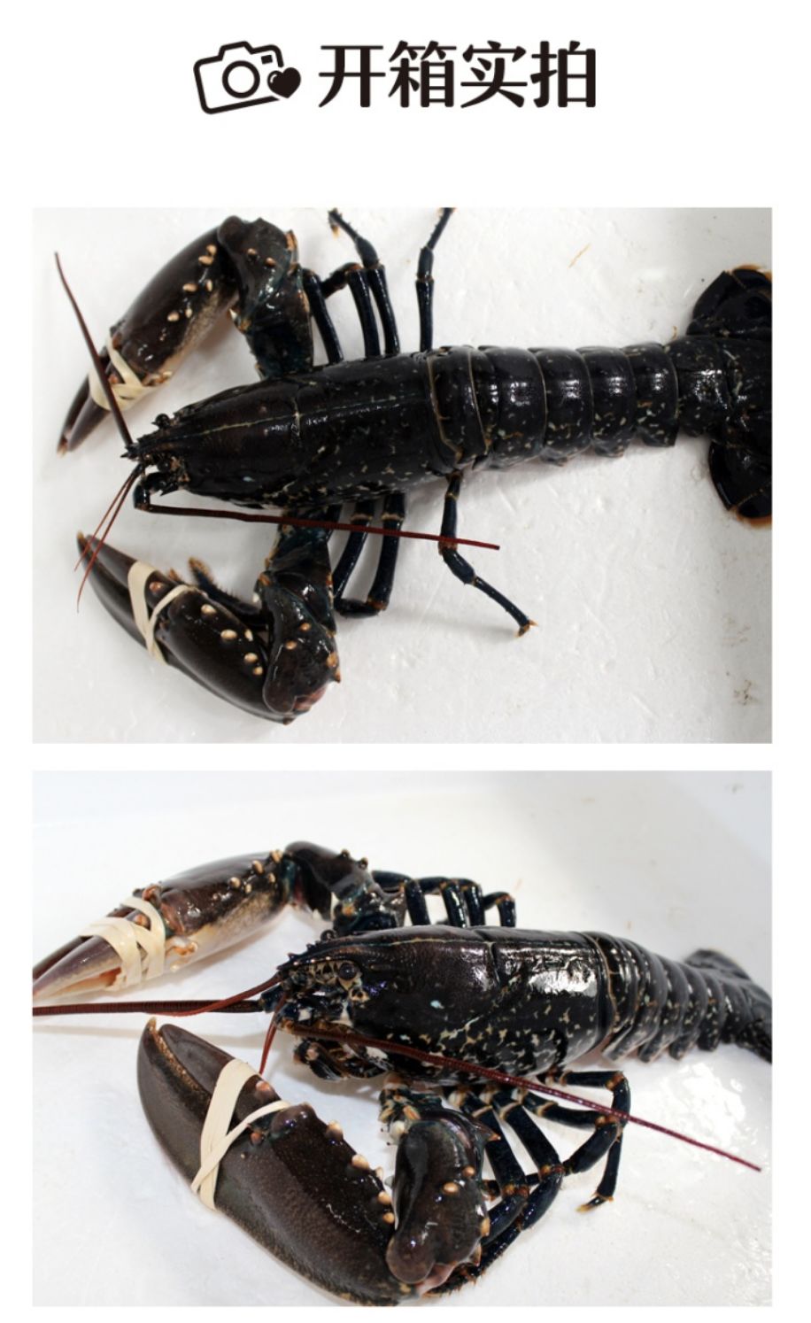 生鲜果蔬配送商城长春,全球顶级水果生鲜配送